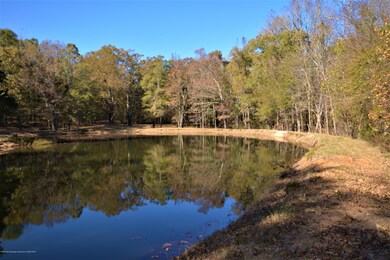 Acres behind Pond