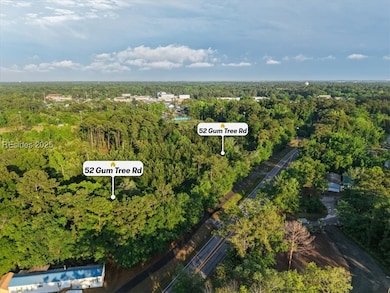 52 Gumtree Rd, Hilton Head Island, SC 29926 - photo 4