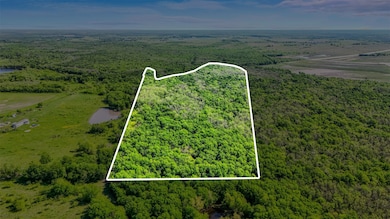Aerial view with a wooded view