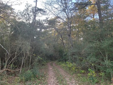 24424 Nichols Sawmill Rd, Magnolia, TX 77355 - photo 5