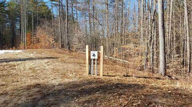 401 Keene Rd, Winchester, NH 03470 - photo 4