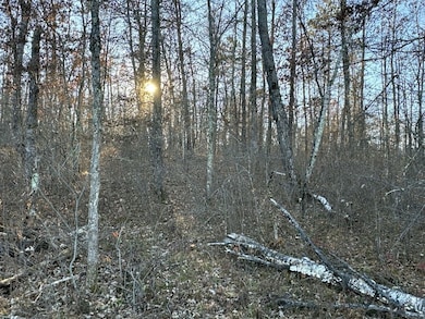 Tbd, Springbrook, WI 54875 - photo 5