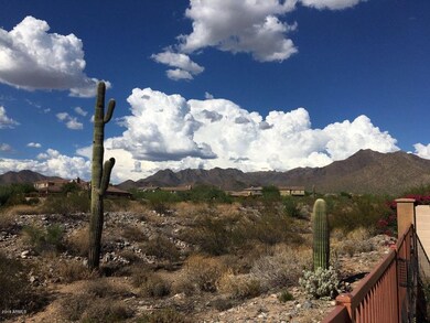 cactusmtnIMG953506. - Copy