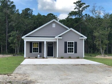 4366 Dew Ln unit Sumter Plan, Conway, SC 29527 - photo 6