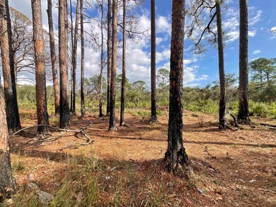 Vacant W Royal Oak Dr, Perry, FL 32348 - photo 6