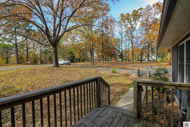 550 Cedar Point Rd, Benton, KY 42025 - photo 6