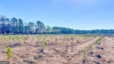 0 N Highway 301 unit 12, Statesboro, GA 30461 - photo 4