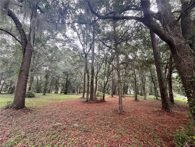 536 N Marsh Hen Rd NE, Townsend, GA 31331 - photo 3