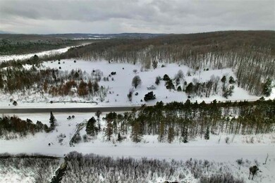 TBD U S 131, Boyne Falls, MI 49713 - photo 4