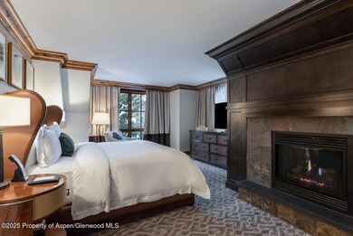 315 E Dean St unit B35-E3, Aspen, CO 81611 - photo 7