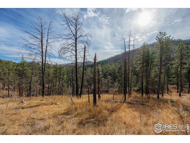 0 Cougar Dr unit 1048067, Bellvue, CO 80512 - photo 3