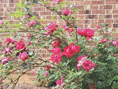 6028 Brantley Gordon Rd, Denton, NC 27239 - photo 2