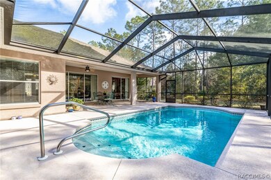 Great lanai & pool space!