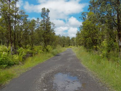 0 Naia St unit 723719, Mountain View, HI 96771 - photo 6
