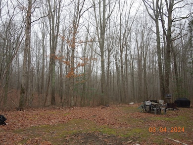 966 Cox Rd, Sequatchie, TN 37374 - photo 7