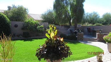 Great Back Yard