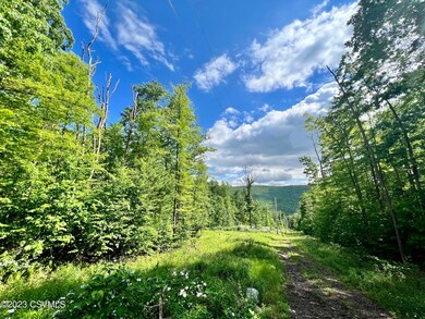 2298 Upper Rd, Shamokin, PA 17872 - photo 5