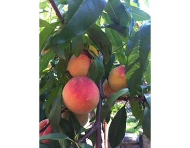 36 Meadow Pond Dr unit I, Leominster, MA 01453 - photo 3