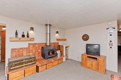 25352 Cedar Mesa Rd, Cedaredge, CO 81413 - photo 7