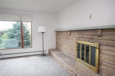 Living room fireplace.