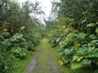 Looking toward the separate lot.
