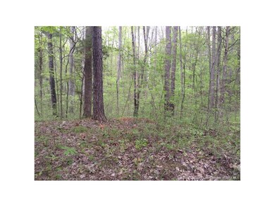 0 Shewmaker Ln SE unit 201502961, Elizabeth, IN 47117 - photo 4