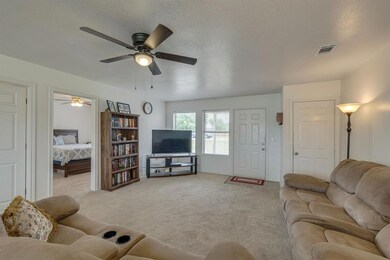 3107 Shady Ln, Granbury, TX 76049 - photo 5