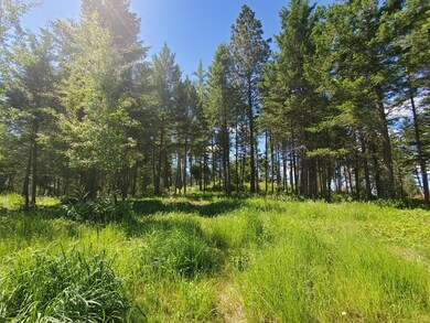 307 Whisper Ridge Dr, Big Fork, MT 59911 - photo 5