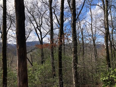Some tree clearing will provide spectacular views