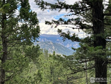 Potential build site.