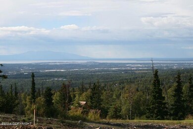 L7 B3 Sandpiper Dr, Anchorage, AK 99516 - photo 6