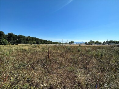 513 Colton Ln, Everson, WA 98247 - photo 3