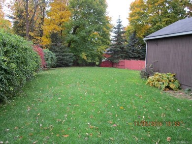 Amazing back yard