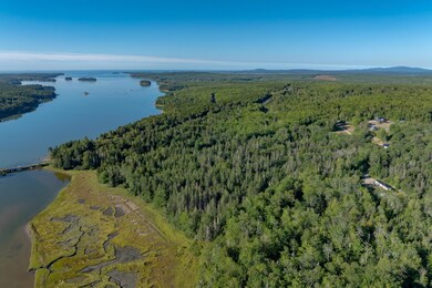 Lot 54 Pinkham Bay Bridge Rd, Steuben, ME 04680 - photo 5