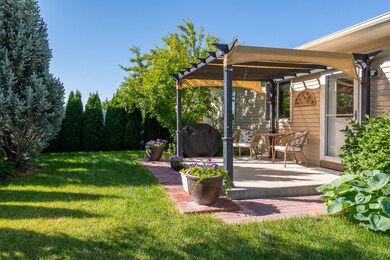 Backyard Sanctuary!