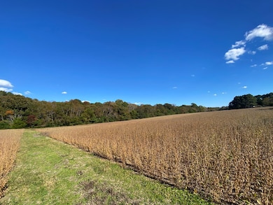 right of way view towards woods