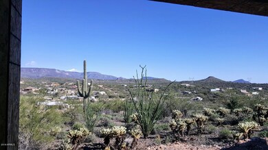 Views of the Patio 2
