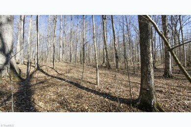 Part Of Interior Of This 1.54-Acre Lot