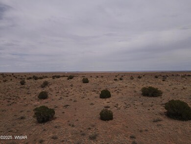 dji_fly_20250728_135528_858_175373614250