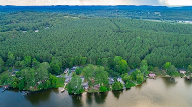 Peggy Lane Aerials HD-3