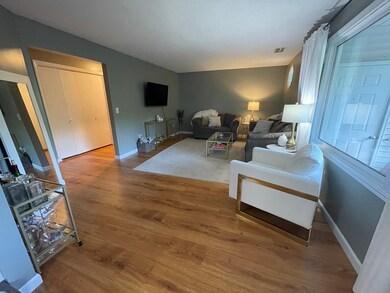 53 Morse St unit 12, Ludlow, MA 01056 - photo 7