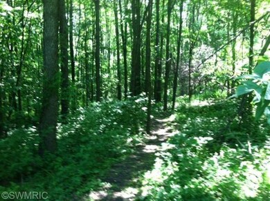 5575 Crooked Hoof Trail unit LOT 3, Middleville, MI 49333 - photo 2