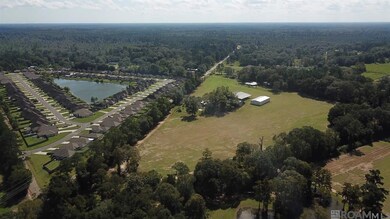 22835 La Hwy 16, Denham Springs, LA 70726 - photo 4