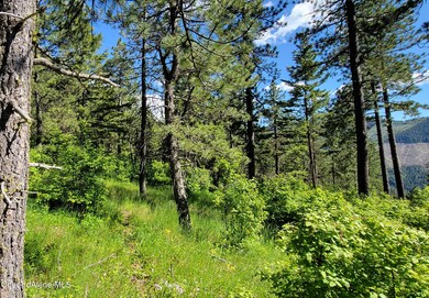 Game Trail (1)