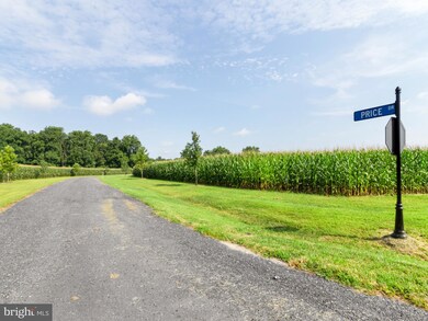 Lot 14 Price St, Easton, MD 21601 - photo 7