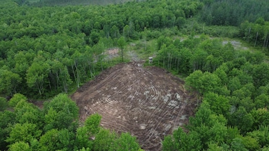 120 Acres Wisconsin 86, Tomahawk, WI 54487 - photo 5