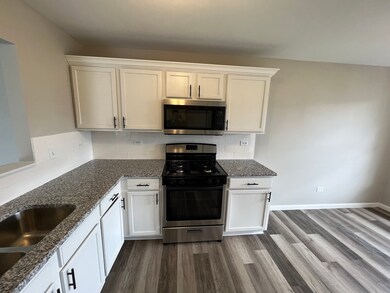 26518 W Deer Path, Channahon, IL 60410 - photo 7