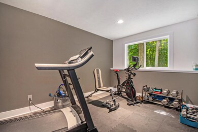 Basement Gym