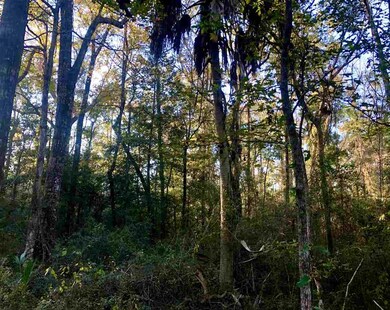 x Flag Lot Off Terrace Ln, Crawfordville, FL 32327 - photo 6