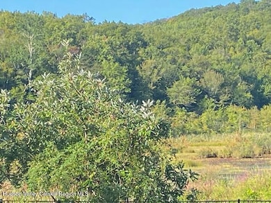 TBD Lily Lake Rd, Highland, NY 12528 - photo 7